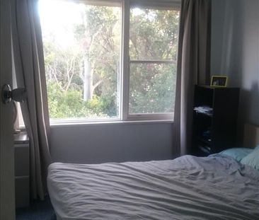 Hurlstone Park - Photo 6