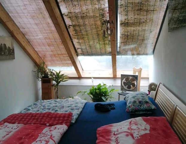 Großzügige Wohng. Hildesheim OT Achtum - Photo 1