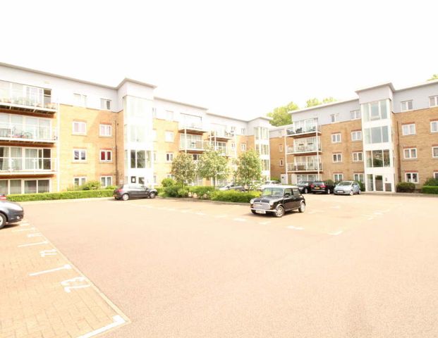 2 bedroom apartment to rent 2 bedroom apartment - New Bedford Road - Parking - Primrose Close - Photo 1