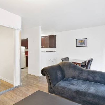 Pet Friendly - Available NOW - Furnished Studio on 1540 Haro - Photo 1