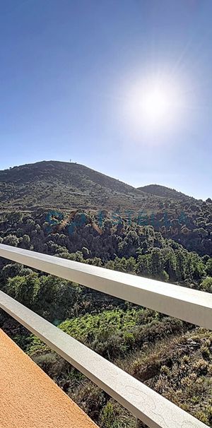 À louer - Charmant Studio non meublé à Sarrola-Carcopino, - Photo 1