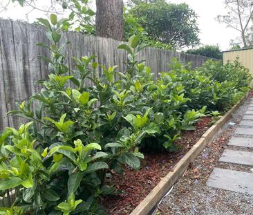 Modern Design Spacious One Bedroom Granny Flat in Epping For Rent - Photo 5