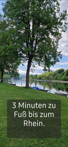 2-ROOM APARTMENT IN LANGWIESEN (ZH), FURNISHED, TEMPORARY - Photo 2