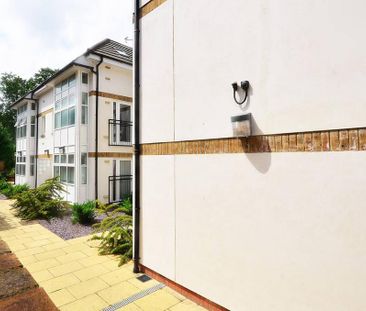 1 bedroom house to rent - Photo 2