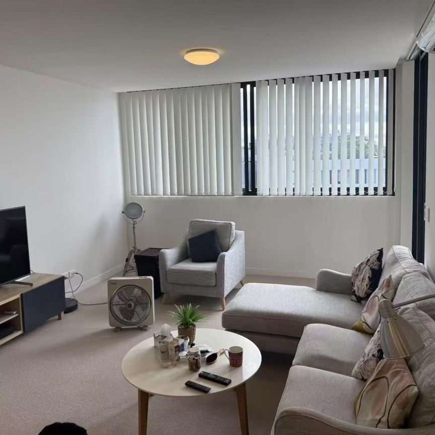 503/64 Charlotte Street Campsie - Photo 1