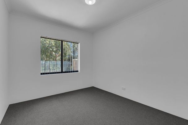 Low Maintenance 2 x 1 in Meadow Springs - Photo 1