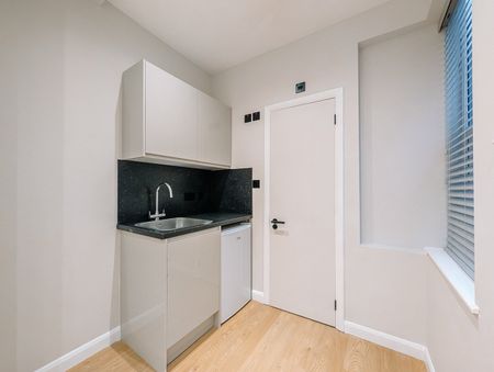 Studio Flat, Blenheim Mansions, SW2 - Photo 3