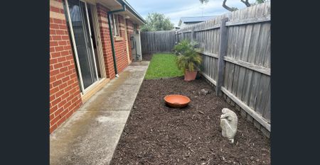 Surprisingly large & low maintenance! - Photo 3