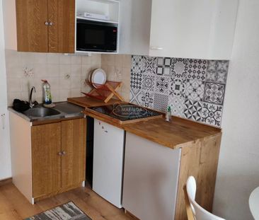 Location Appartement 1 pièce 18m² MONT SAXONNEX 74130 - Photo 3