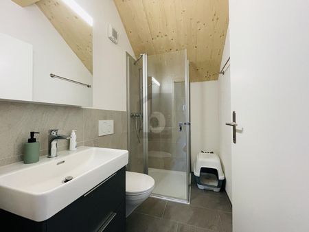 LOTS OF SPACE, BRIGHT AND NATURE-CLOSE - Photo 4