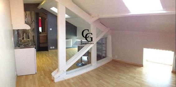 Location Appartement 1 pièce 17m² VERTOU 44120 - Photo 3