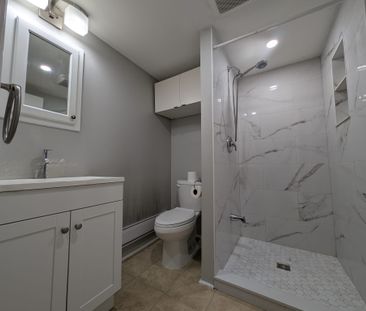 For Lease - 126 Sheldon Avenue Unit# Lower, Newmarket, Ontario - Photo 4