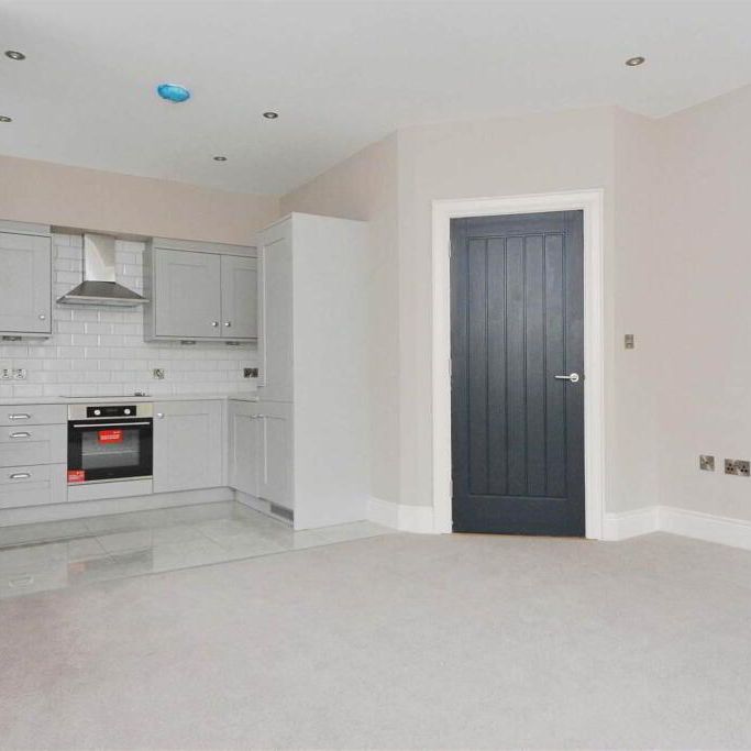 Rosevale House, 171r Moira Road, Lisburn, BT28 1RW - Photo 1