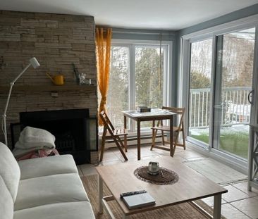 Rue du Mont-Plaisant, J8E 1L2, Mont-Tremblant - Photo 1