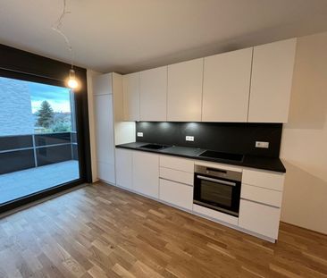 Höchst: Moderne 2-Zimmer-Wohnung mit großer Terrasse - Foto 3