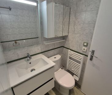 Location Appartement 1 pièce 29m² ST MAURICE 94410 - Photo 5
