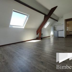 Appartement à louer, 1 pièce - Olivet 45160 - Photo 3
