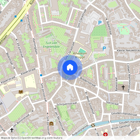 Biddersstraat 13, Brugge