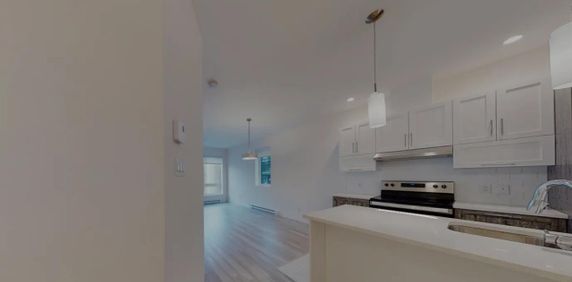 655 Boulevard Du Plateau (Plateau) Grand Tout Inclus 5 1/2 - Photo 2