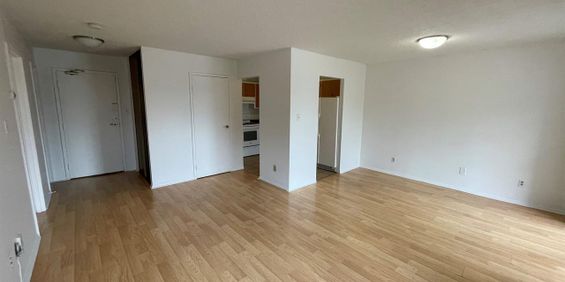 1 CH - 1 SDB - Côte Saint-Luc - $1,304 /mo - Photo 3