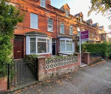 52 Delhi Street, Off Ormeau Road, Belfast, BT7 3AL - Photo 6