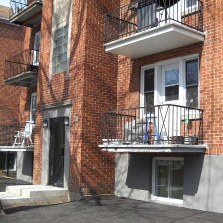 5 1/2 - Montréal (Rosemont) - 1 145 $/mois - Photo 4