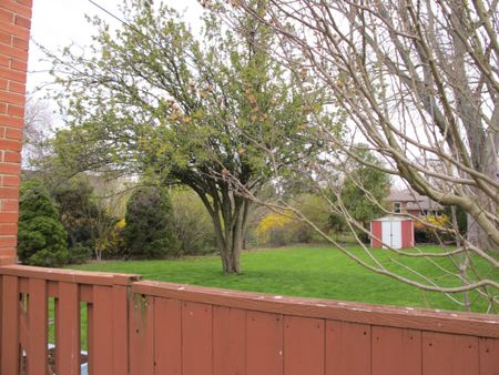 For Lease - 30 Pine Avenue, Mississauga, Ontario - Photo 4