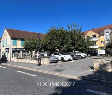 Location Appartement 2 pièces 44m² SERRIS 77700 - Photo 2