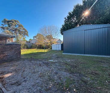 Charming Three-Bedroom House with a Huge Shed! - Photo 1
