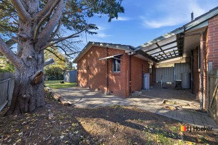 Spacious One Bedroom Home With Private Backyard. - Photo 4