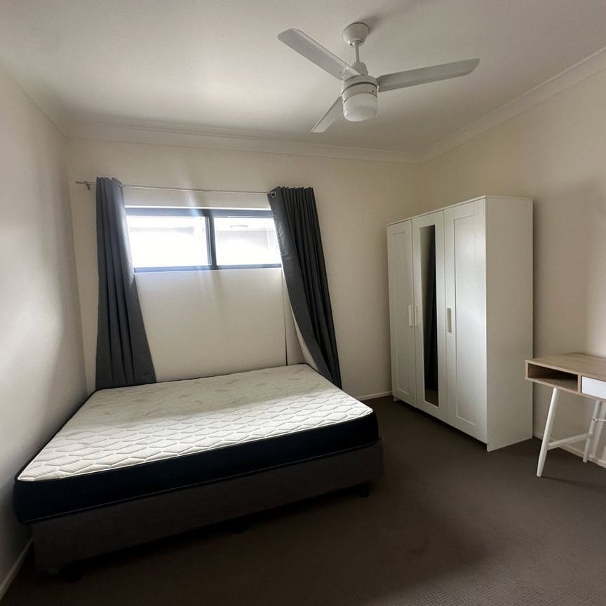 Bright and Spacious Apartment in St Lucia – Walk to UQ! - Photo 1