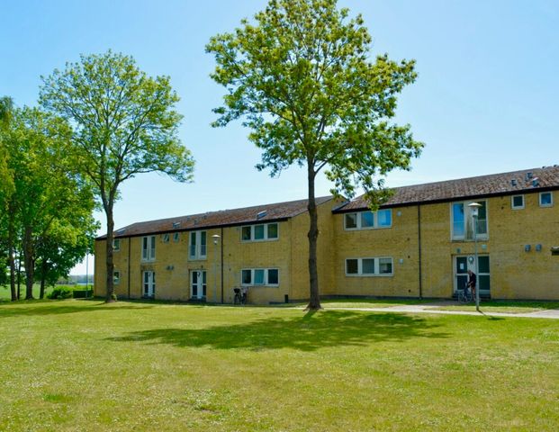 1 værelses – Solbakken 208, 1. tv – Munkebo - Foto 1