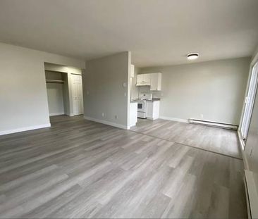 3 Beds 2 Baths Apartment - Photo 1