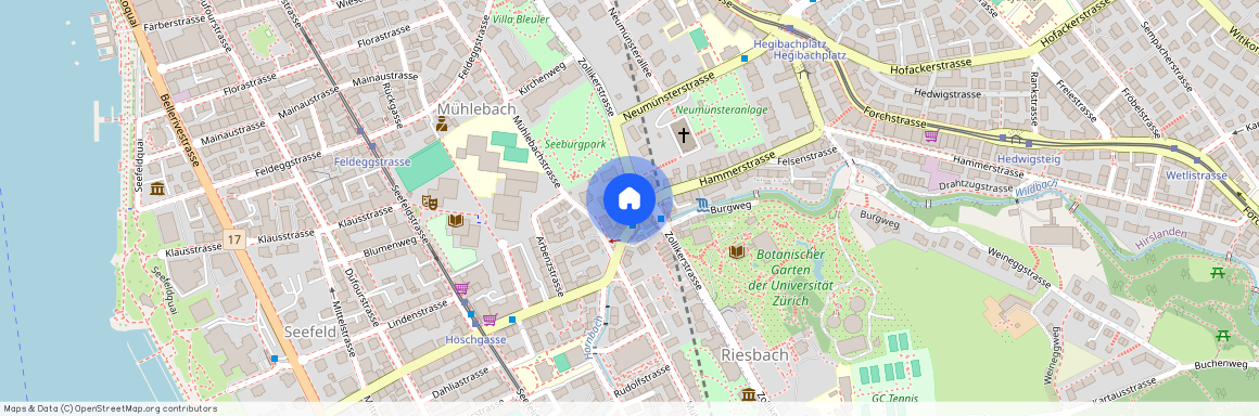 8008, Zürich, Mühlebachstrasse, 119