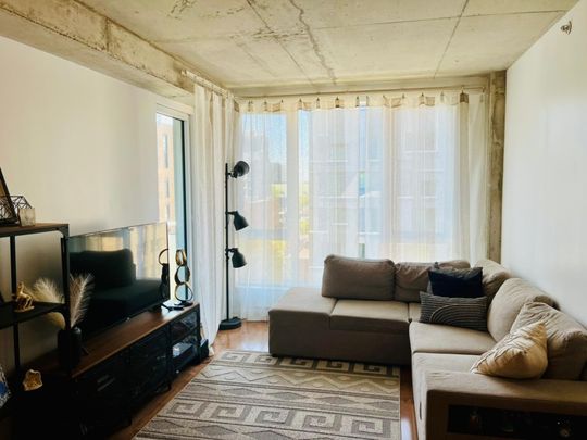 Appartement à louer - Montréal (Ville-Marie) (Mille Carré Doré) - Photo 1