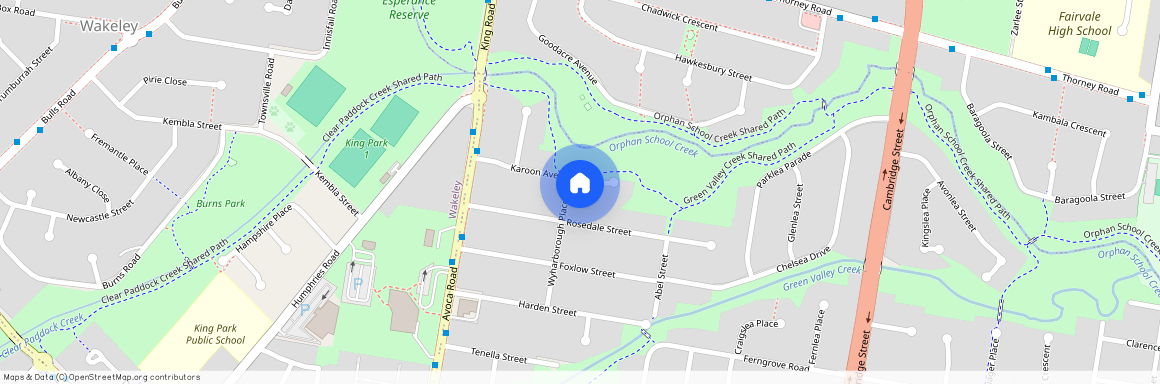 21 Karoon Avenue, NSW 2166, Canley Heights