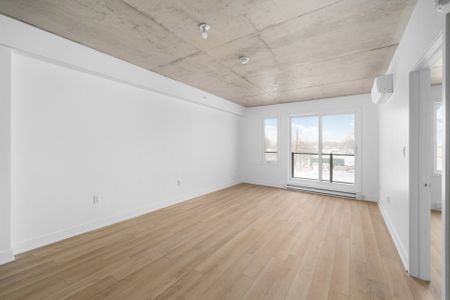 30 Av. Joseph-Laflèche, #312 - Photo 3