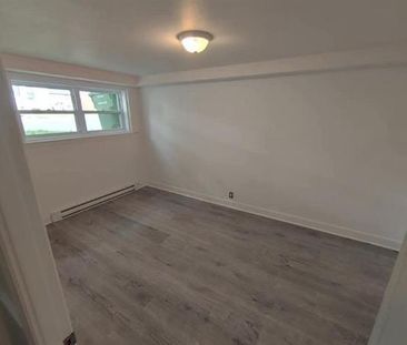 3225 Av. Hector - Photo 4