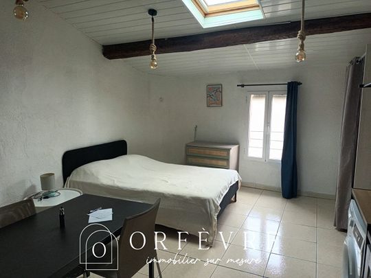 Studio meublé Mauguio 23m2, - Photo 1