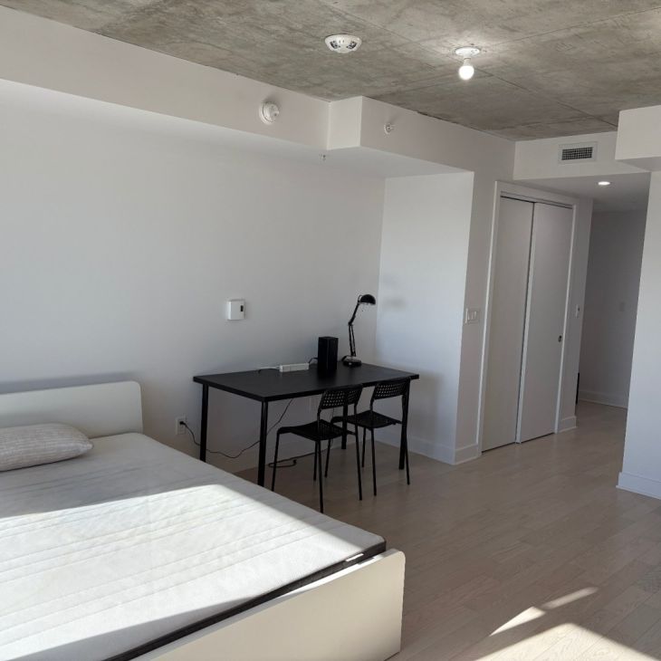 Appartement à louer - Montréal (Le Sud-Ouest) (Griffintown) - Photo 1