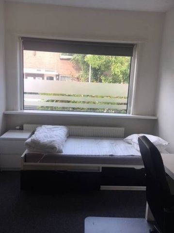 Te huur: Kamer Wilgenroosstraat in Eindhoven - Foto 2