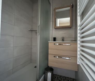 Location Appartement 1 pièce 19m² SAMOENS 74340 - Photo 5