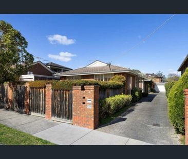 Light-Filled Three-Bedroom Villa in Private Inner-East Setting - Photo 1
