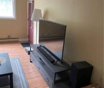 Studio/Bachelor for rent - Photo 2