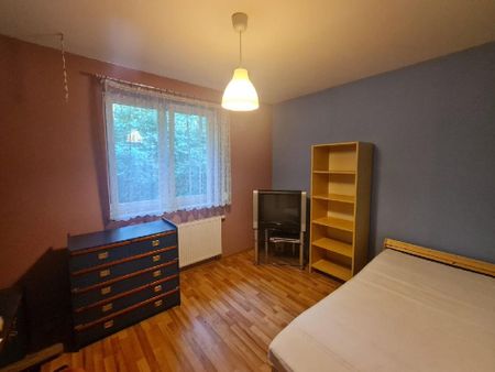 Dom Ozorków Sokolniki-Las powierzchnia 150.0 m² C317-WD-15316 - Photo 4