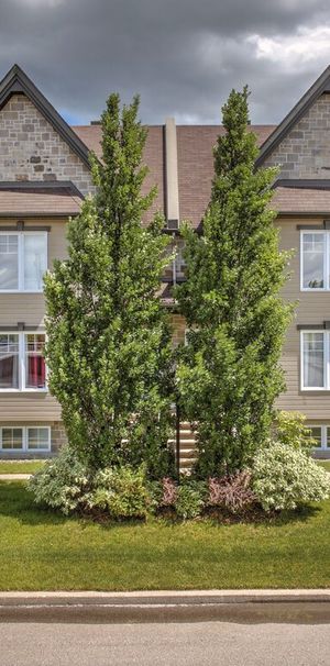 Beau Logement 4 1/2 à Lavaltrie - Photo 2