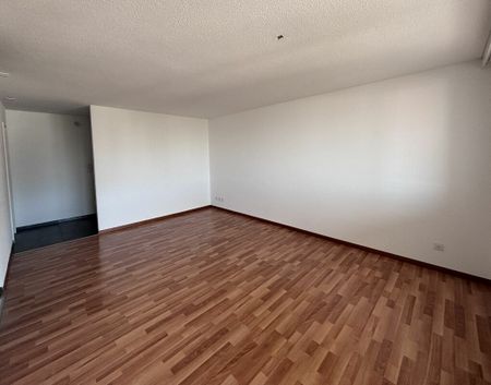 Industriestrasse 18, 9430 St. Margrethen SG - Foto 2