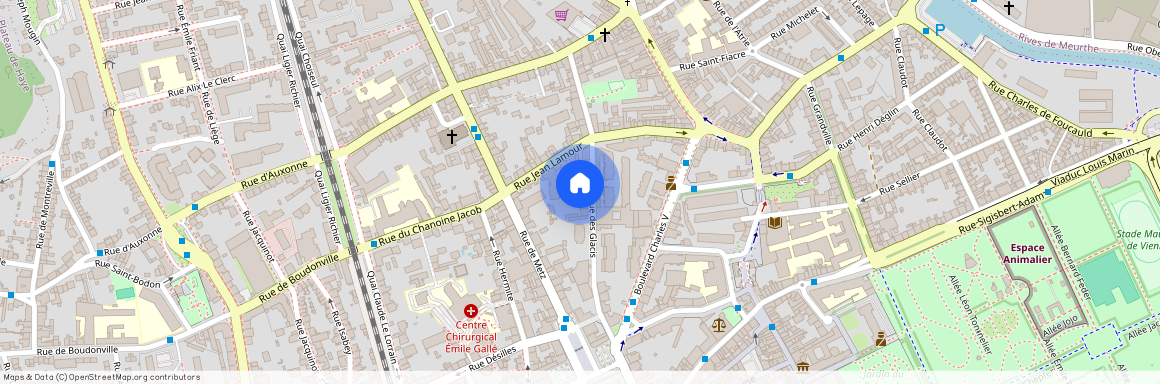 11 BIS RUE DES GLACIS, Keller Metz Joli Coeur, Nancy