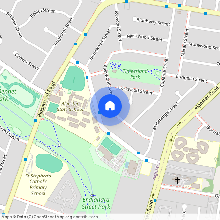 55 Basswood Street, Qld 4115, Algester