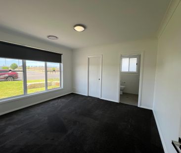 93 Argyle Avenue, Dubbo NSW 2830 - House For Rent | Domain - Photo 2